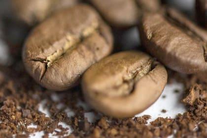 Los granos de café serían ricos en antioxidantes