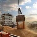 COFCO redujo emisiones en las cadenas de soja y maíz y superó los US$1000 millones en financiamiento ligado a metas climáticas