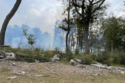 Graves incendios en Tierra del Fuego
