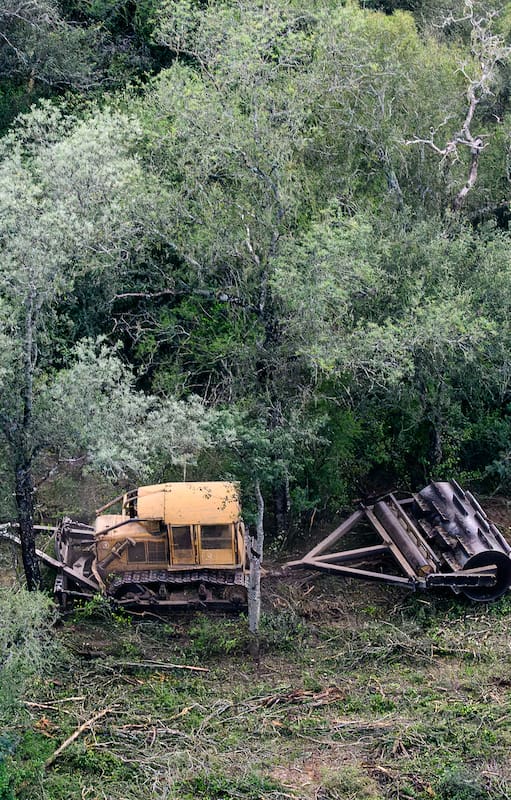 Greenpeace detectó que, en los primeros seis meses del año, en Santiago del Estero y Chaco la deforestación ilegal alcanzó las 31.000 hectáreas, una superficie equivalente a una vez y media el tamaño de la ciudad de Buenos Aires. La organización ecologista volvió a reclamar la penalización de la destrucción de bosques.