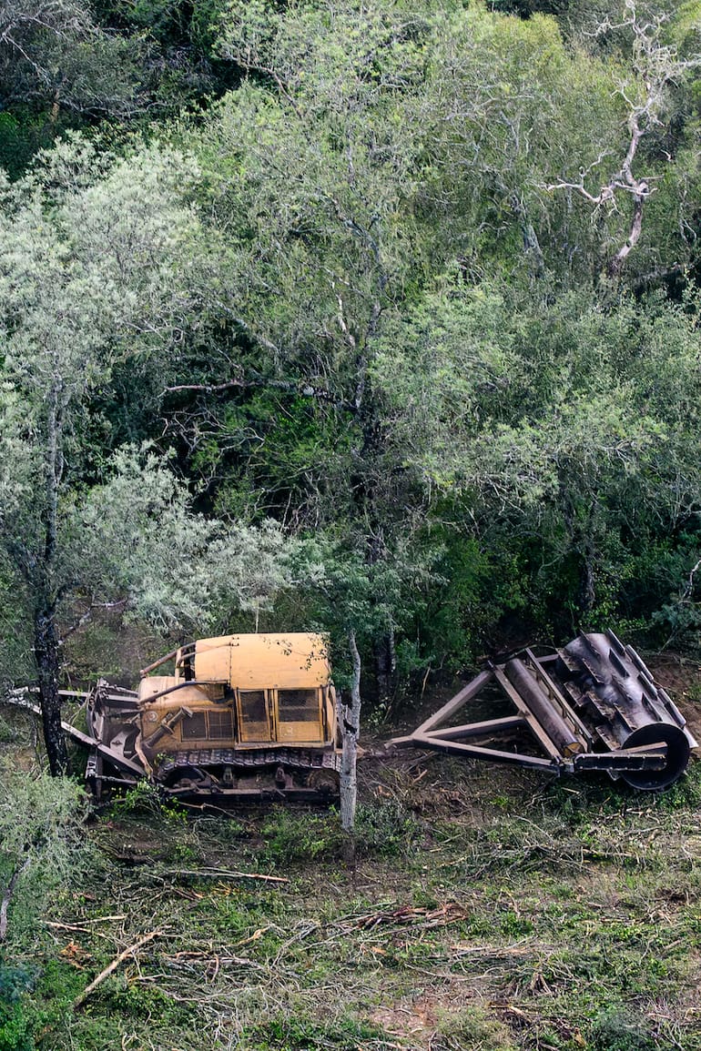 Greenpeace detectó que, en los primeros seis meses del año, en Santiago del Estero y Chaco la deforestación ilegal alcanzó las 31.000 hectáreas, una superficie equivalente a una vez y media el tamaño de la ciudad de Buenos Aires. La organización ecologista volvió a reclamar la penalización de la destrucción de bosques.