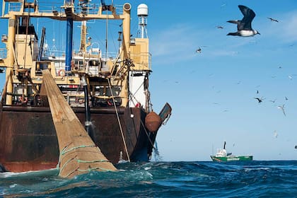 Greenpeace manifestó su preocupación por el descontrol pesquero y la exploración sísmica
