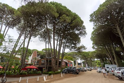 Griller Garden, una de las de cinco propuestas gastronómicas exclusivas para disfrutar la noche de Año Nuevo en Pinamar, con opciones que destacan por su ambiente sofisticado, menús gourmet y vistas únicas en la costa argentina