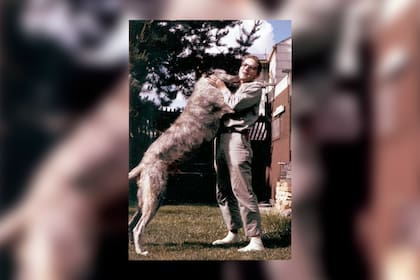 Grover y Clyde una amistad que perdura en el museo nacional de historia estadounidense Smithsonian, en Washington