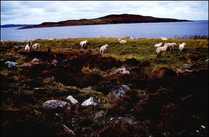Gruinard es una isla frente a la costa de Escocia con una historia oscura y escalofriante.