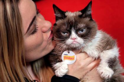 Grumpy Cat se transformó en una estrella en 2012 gracias a su eterna cara de enfado; en 2015 sus dueñas firmaron un acuerdo comercial para llevar su rostro a una marca de café, pero en el medio surgieron los problemas