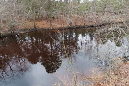 Grupo estima en 1.000 millones los daños de vertido tóxico en Nueva Jersey y rechaza el acuerdo