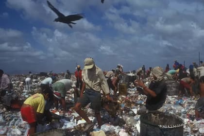 Grupos ambientalistas de la región aseguran que se convirtió en su basurero