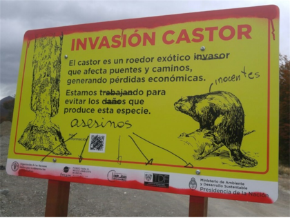 Grupos animalistas vandalizaron un cartel informativo sobre la amenaza que representa la invasión del castor americano en Tierra del Fuego. Foto tomada por el Dr. Adrián Schiavini, Investigador del CADIC, CONICET, en Ushuaia.