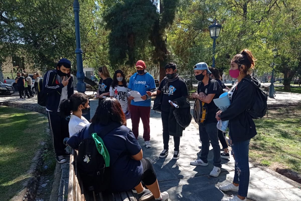 Grupos de estudiantes de la Universidad Nacional de Cuyo y de organizaciones sociales fueron los encargados de hacer el trabajo de campo del relevamiento