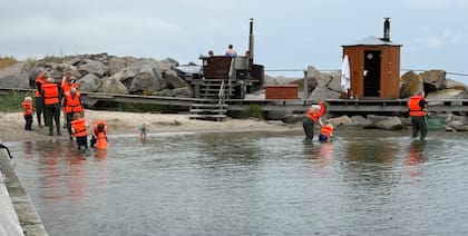 Grupos ecologistas daneses intentan despertar el interés de los visitantes por las aguas que rodean la isla y por las razones de la presión que enfrentan.