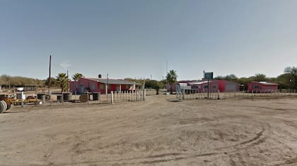 Guanaco Muerto