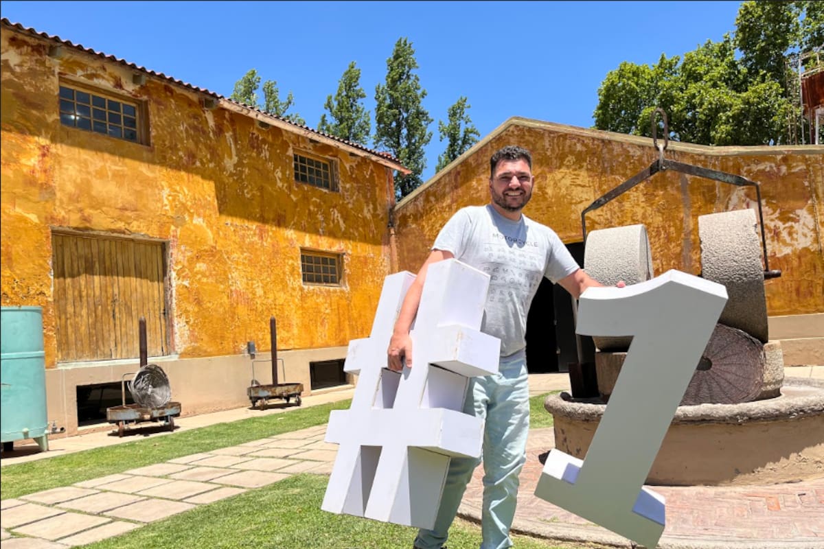 Guardia ya logró extraer de la variedad de aceitunas “Arauco” hasta 800 miligramos de polifenoles por litro