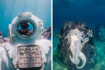 Guardians of the reef, el nuevo sendero de arrecife artificial de Florida