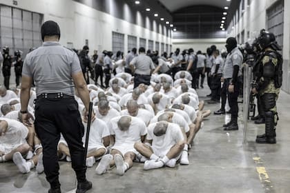 Guardias penitenciarios trasladan a presuntos pandilleros venezolanos, deportados de Estados Unidos, al Centro de Confinamiento del Terrorismo en El Salvador el pasado domingo 16 de marzo de 2025