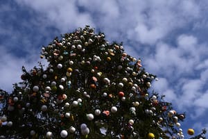 Guatemala: cinco jóvenes murieron electrocutados cuando armaban un árbol de Navidad