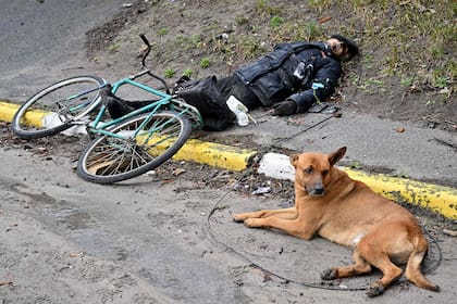 Un perro junto al cuerpo de un ciclista asesinado en Bucha
