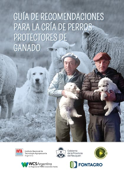 Guía con recomendaciones distribuida entre productores neuquinos: un trabajo conjunto de WCS Argentina, el Inta, el gobierno provincial y otros organismos locales.