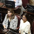 Los cambios a la ley de salud mental quedaron a un paso del recinto del Senado