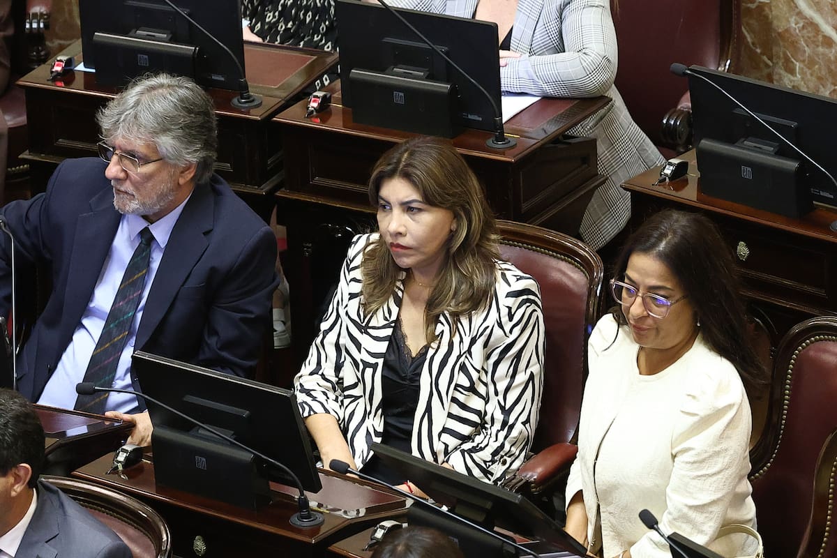 Guillermo Andrada (Catamarca), Sandra Mendoza (Tucumán) y Carolina Moisés (Jujuy) firmaron un dictamen en minoría sobre salud mental