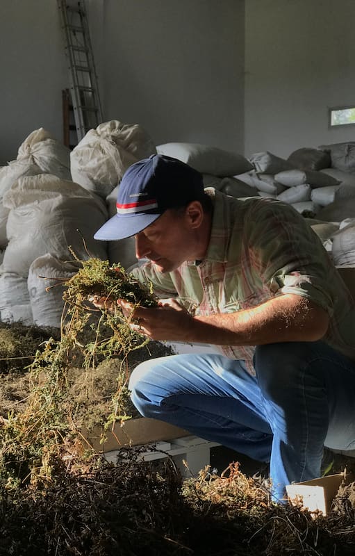 Guillermo Beney en su planta de producción, testando las plantas silvestres de Traslasierra.