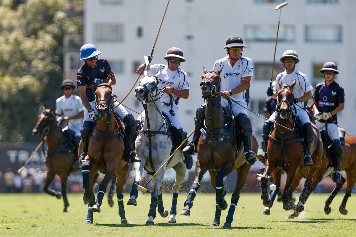 Guillermo Caset, que ejecuta un cogote, fue el mejor de un atractivo e intenso La Ensenada 16 vs. La Dolfina II 11, cierre de la participación de ambos equipos en el Campeonato Argentino Abierto.