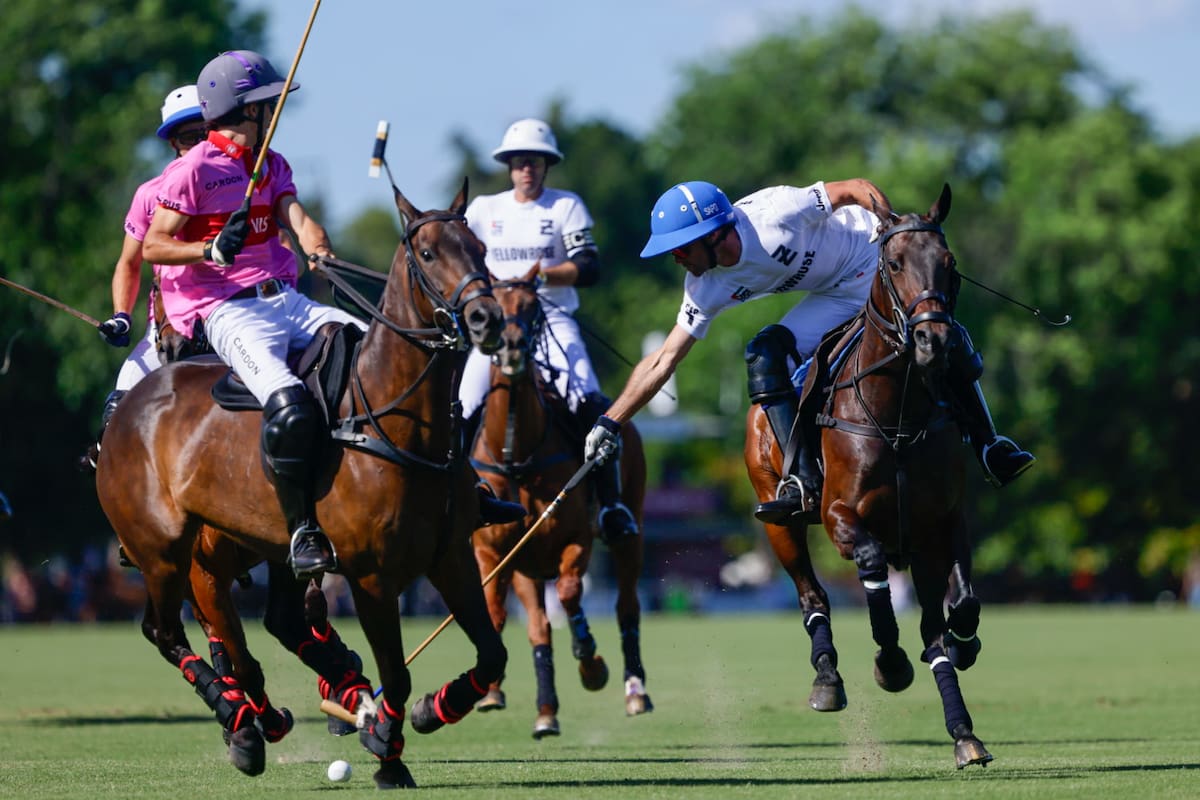 Guillermo Caset se estira para alcanzar la bocha entre Cruz Heguy y Teodoro Lacau; Indios Chapaleufú exigió más que lo pensado a Ellerstina, pero la Z quedó cerca de la final del Abierto de Tortugas: depende de una victoria de La Natividad sobre Cría La Dolfina.