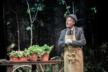 Guillermo Francella en una escena de Desde el jardín, el tanque mejor ubicado en el ranking de porcentaje de ocupación de sala