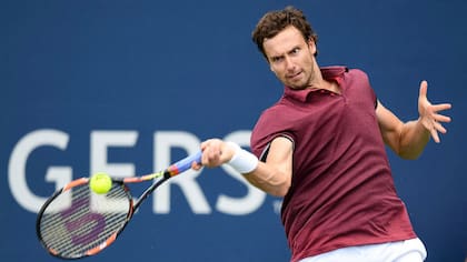 Gulbis