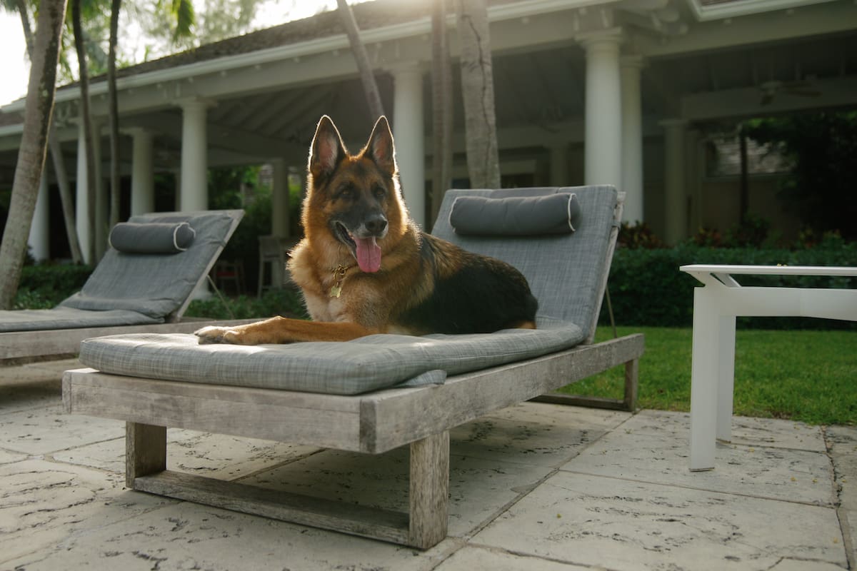 Gunther vive en una mansión y siempre viaja en limusina y jet privado