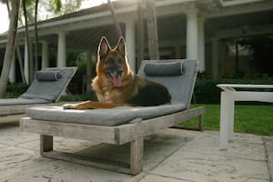 Gunther vive en una mansión y siempre viaja en limusina y jet privado