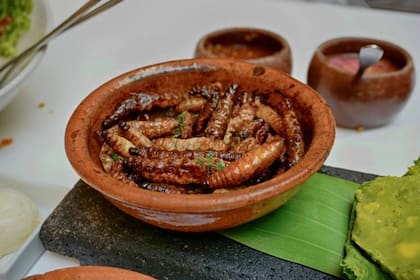 Gusanos
