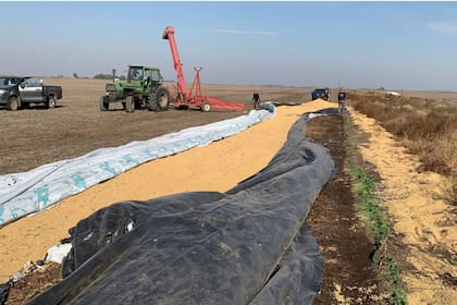 Gustavo debió volver a almacenar la soja y trasladarla a una cooperativa