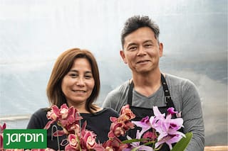 No le gustaban las plantas y se transformó en un experto de las flores más difíciles y buscadas