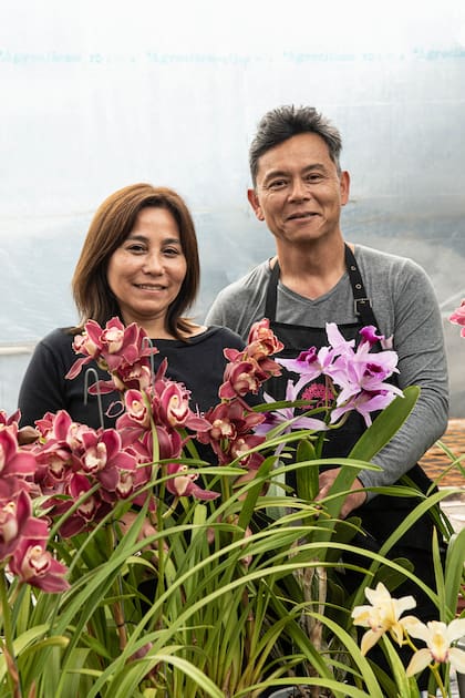 Gustavo Ogata y su mujer Yuki trabajan juntos en su vivero de orquídeas.