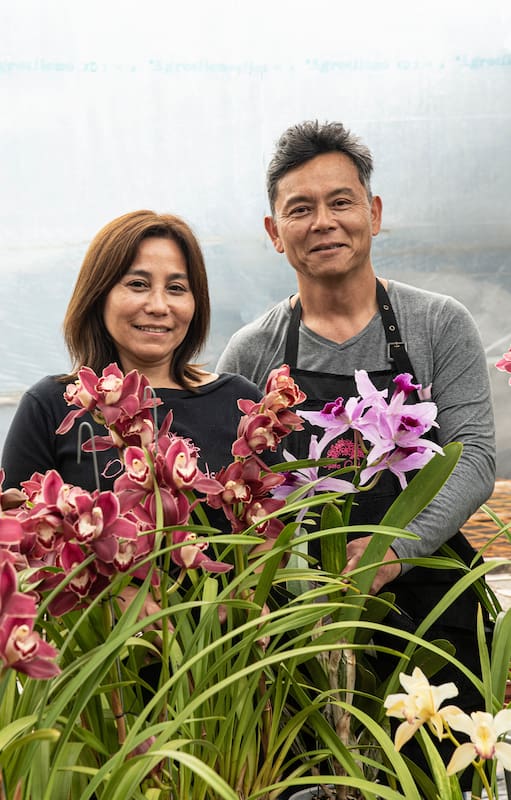 Gustavo Ogata y su mujer Yuki trabajan juntos en su vivero de orquídeas.