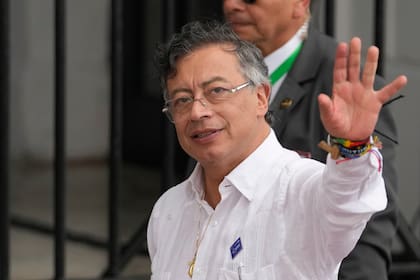 Gustavo Petro no fue candidato a presidente en estas elecciones, porque la Consitución se lo prohíbe