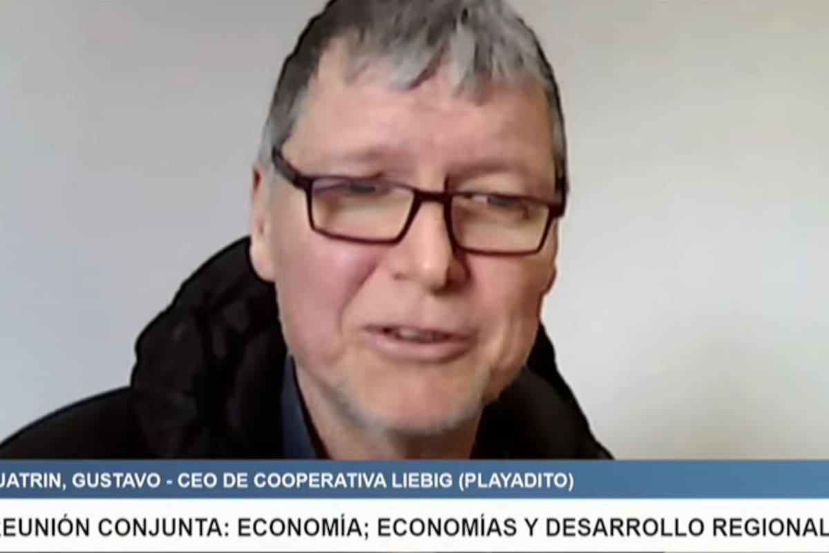 Gustavo Quatrin, CEO de Playadito, durante su exposición para el Congreso
