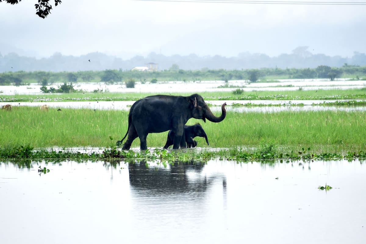 Guwahati, India. Edición fotográfica de Jesica Rizzo