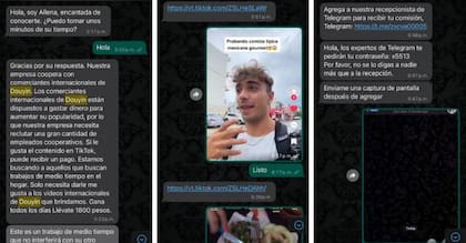 Guzmán recibió la invitación al "trabajo" a través de un número desconocido de WhatsApp