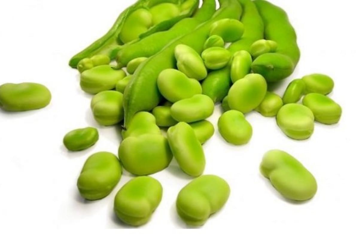 Habas verdes: conocé sus beneficios para la salud y por qué ayudan a tratar algunas enfermedades