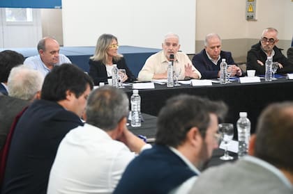 Habla el secretario de Bioeconomía, Fernando Vilella, quien encabezó la reunión con doce provincias