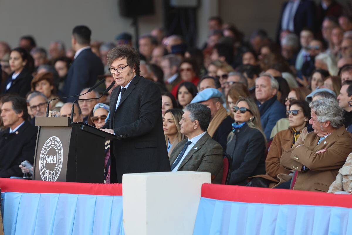 Habla Javier Milei y Nicolás Pino lo escucha