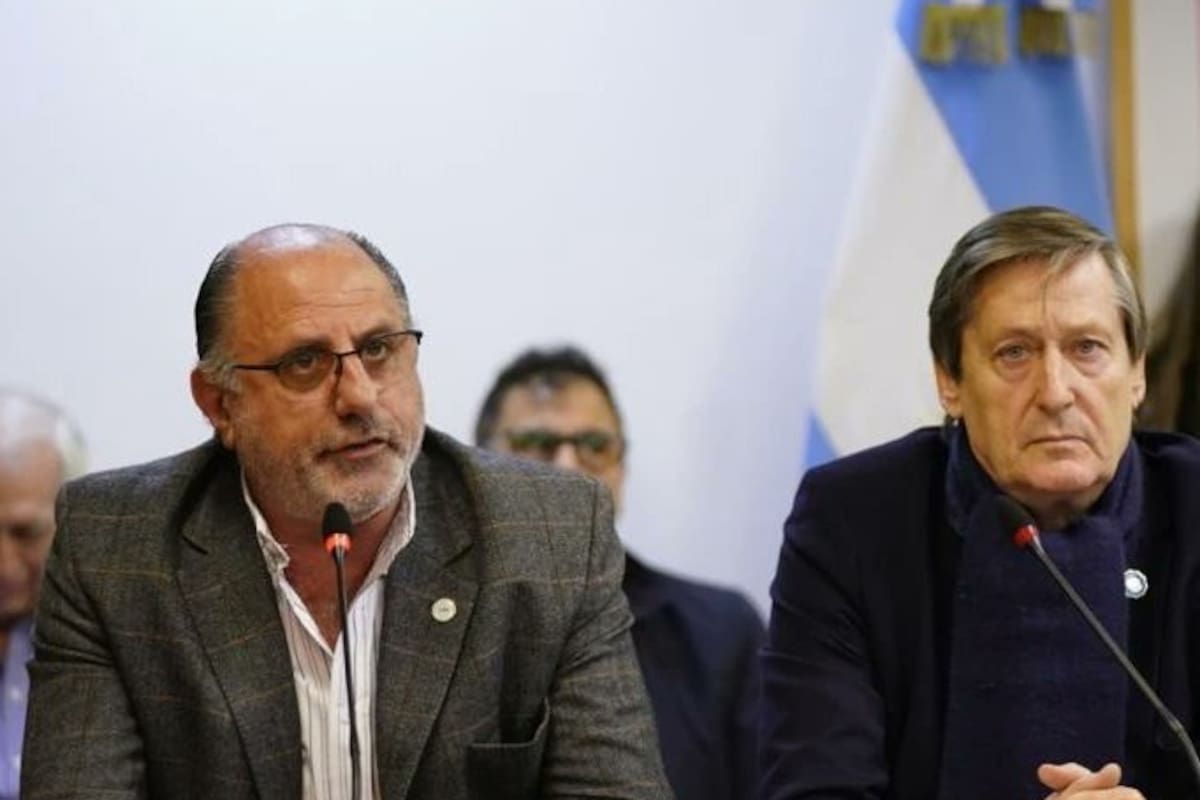 Habla Jorge Chemes, presidente de Confederaciones Rurales Argentinas (CRA), en el plenario de las comisiones de Industria y Agricultura de la Cámara baja