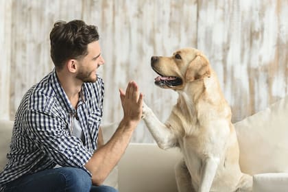 Hablar con mascotas ayuda a estimular la inteligencia emocional (Imagen ilustrativa)
