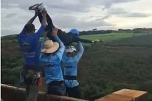 Hablaron los hombres que lanzaron sin cuerdas a una mujer en un salto bungee jumping en Brasil