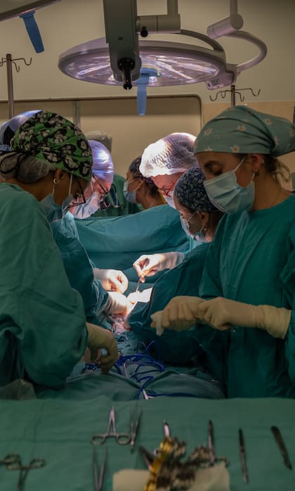 Hablaron los médicos del Garrahan que separaron a dos siamesas: cómo fue la intervención y cuál es su estado de salud.