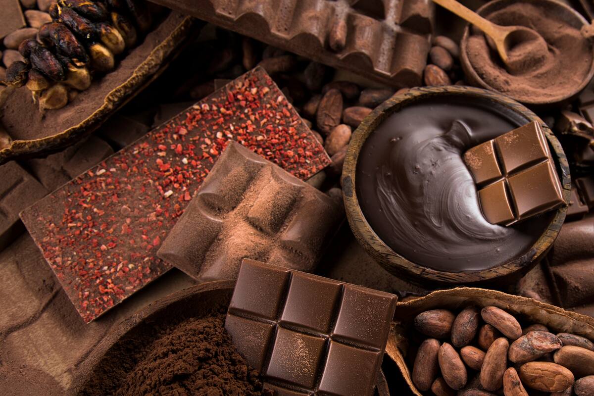 Habrá charlas y clases