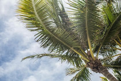 Habrá intervalos de nubes y son en Florida