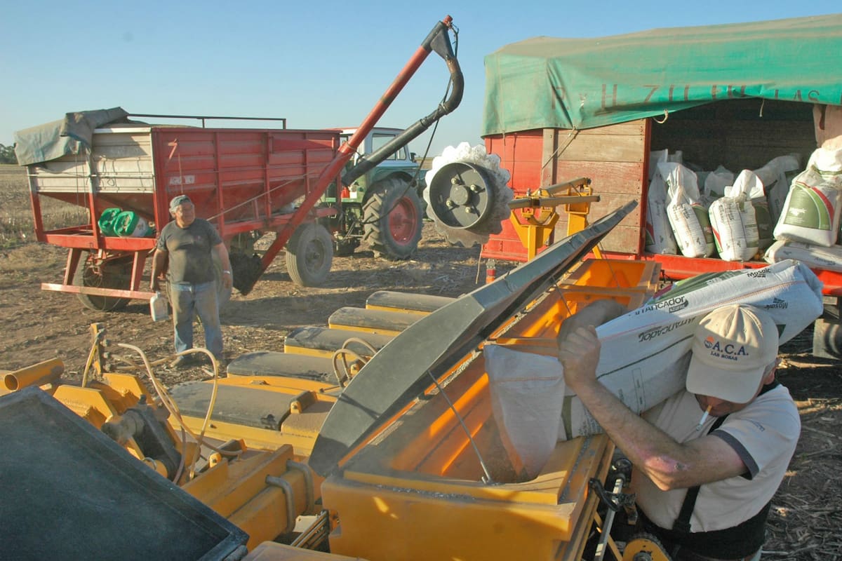 Habrá más costos para la campaña en un contexto de baja de precios de los granos